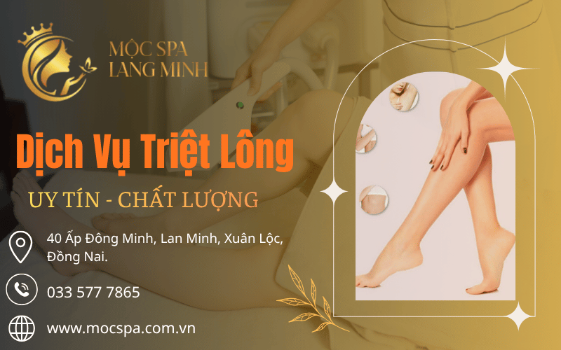Dịch vụ triệt lông ở Xuân Lộc