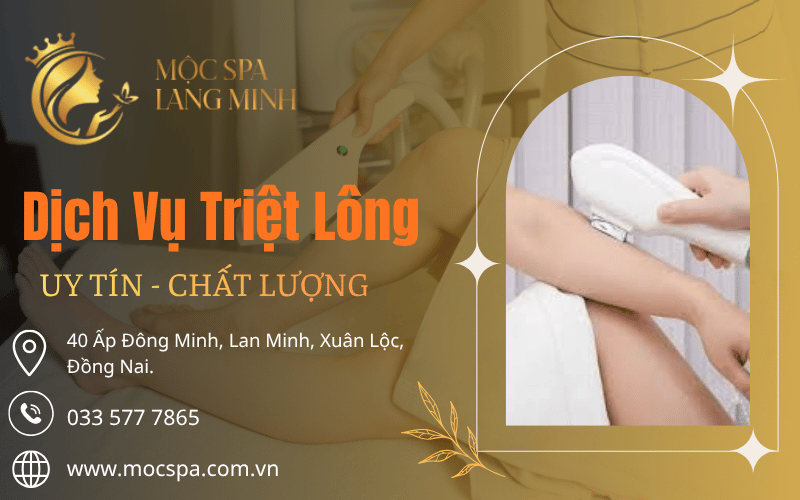 Dịch vụ triệt lông ở Xuân Lộc